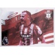 Flag Southampton 526