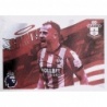 Compra Online Flag Southampton Panini Premier League Stickers 2025