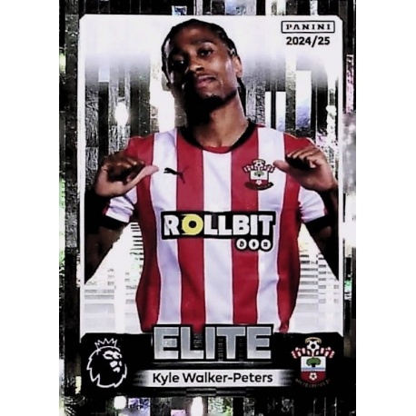 Kyle Walker-Peters Elite Southampton 544
