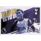 Flag Tottenham Hotspur 555