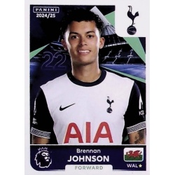 Brennan Johnson Tottenham Hotspur 571