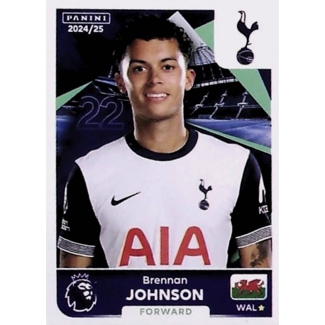 Brennan Johnson Tottenham Hotspur 571