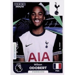 Wilson Odobert Tottenham Hotspur 577
