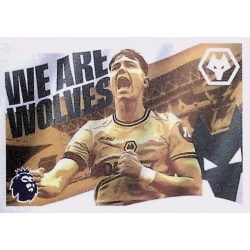 Flag Wolverhampton Wanderers 613