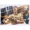 Comprar Cromo Flag Wolverhampton Wanderers Panini Premier League Stickers 2025
