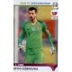 Martin Dúbravka Slovakia 323 Panini Road to UEFA EURO 2020 Sticker Collection