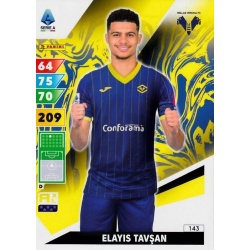 Elayis Tavşan Hellas Verona 143