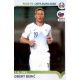 Robert Berić Slovenia 353 Panini Road to UEFA EURO 2020 Sticker Collection