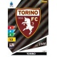 Logo Torino 307