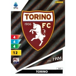 Logo Torino 307
