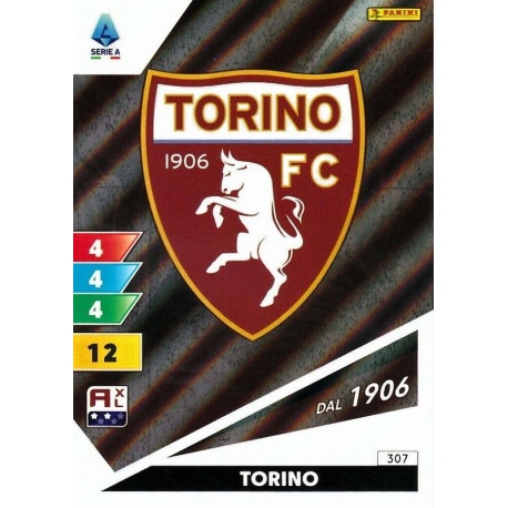 Logo Torino 307
