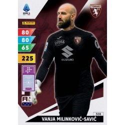Vanja Milinkovic-Savic Torino 308