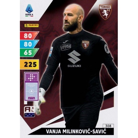 Vanja Milinkovic-Savic Torino 308