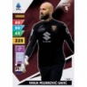 Offer Soccer Cards Vanja Milinkovic-Savic Torino Calciatori Adrenalyn XL 2024-25