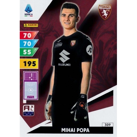 Mihai Popa Torino 309