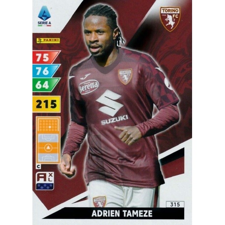 Adrien Tameze Torino 315