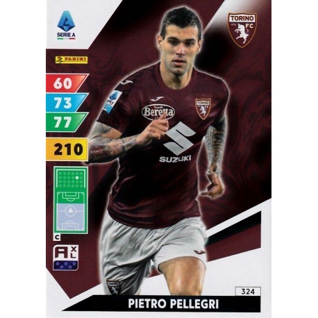 Pietro Pellegri Torino 324