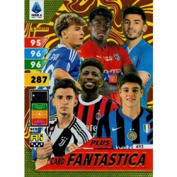 Fantastica Card 493