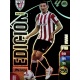 Vivian Edición Limitada