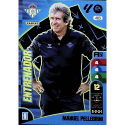 Manuel Pellegrini Entrenador Betis 483