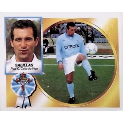 Salillas Baja Celta