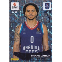 Shane Larkin Anadoulu Efes 91