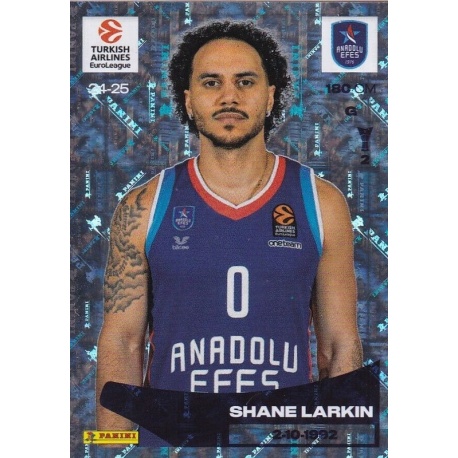 Shane Larkin Anadoulu Efes 91