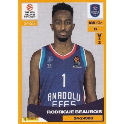 Rodrigue Beaubois Anadoulu Efes 92