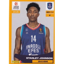 Stanley Johnson Anadoulu Efes 98