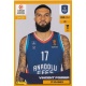 Vincent Poirier Anadoulu Efes 105