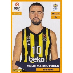 Melih Mahmutoglu Fenerbahce 206