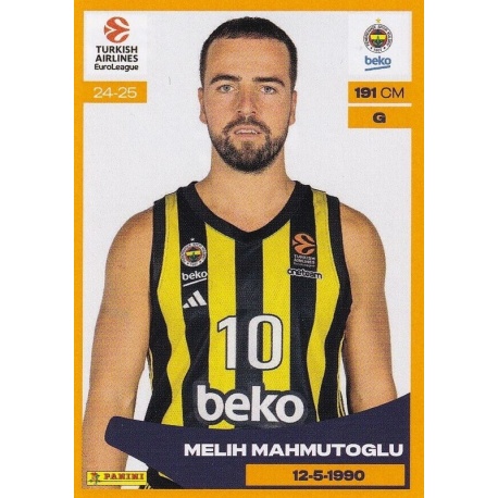 Melih Mahmutoglu Fenerbahce 206