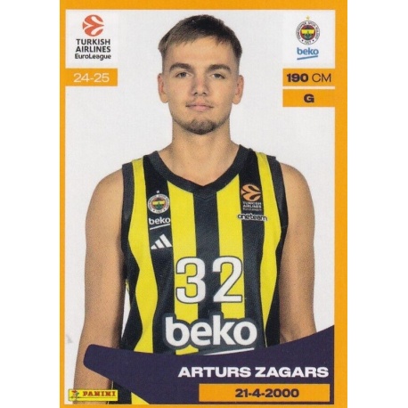 Arturs Zagars Fenerbahce 209