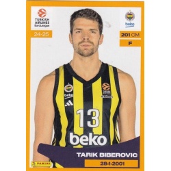Tarik Biberovic Fenerbahce 210