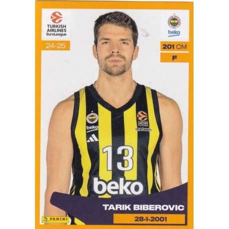 Tarik Biberovic Fenerbahce 210