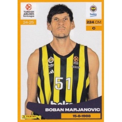 Boban Marjanović Fenerbahce 216