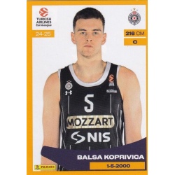 Balsa Koprivica Partizan Mozzart 312