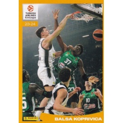 Balsa Koprivica Flight Time 362