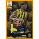 Nigel Hayes-Davis Awards 384