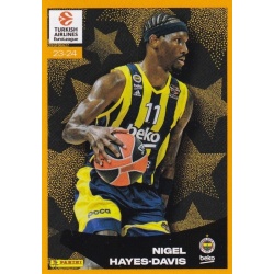 Nigel Hayes-Davis Awards 384