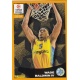 Wade Baldwin IV Awards 389