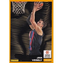 Jan Vesely All-Time Leaders 413