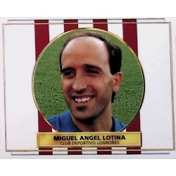 Miguel Angel Lotina Logroñés