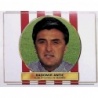 Buy Sticker Soccer Radomir Antic Atlético Madrid Liga 96-97 Ediciones Este