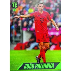 João Palhinha Bayern Munich 48
