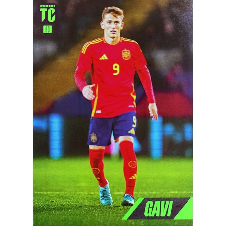 Gavi España 80
