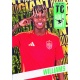 Nico Williams Holo Giants Spain