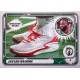 Jaylen Brown Sneaker Stars 33