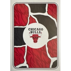 Logo Chicago Bulls 158