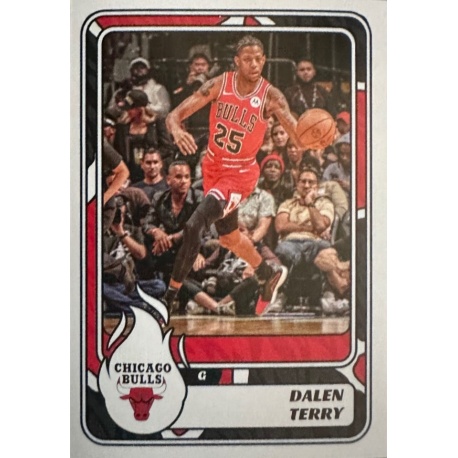 Dalen Terry Chicago Bulls 159